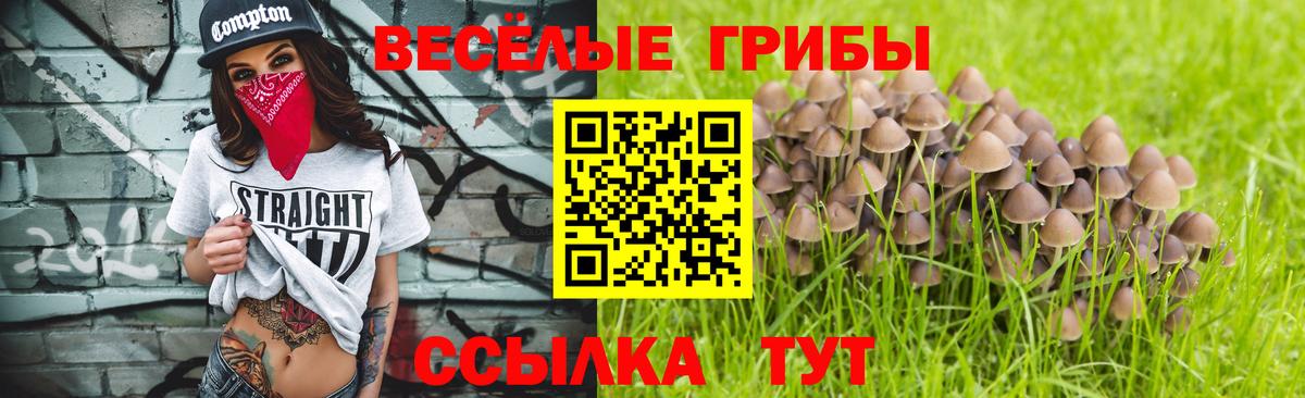 Псилоцибиновые грибы мухоморы Михайловка