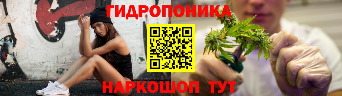 Бошки марихуана Ganja Михайловка